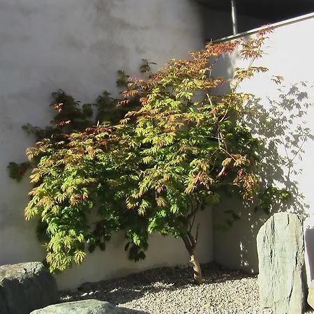 Hotel Bergland - Adults Only Salzburgo